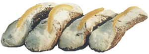 Cannoli, filled with ricotta cheese filling.